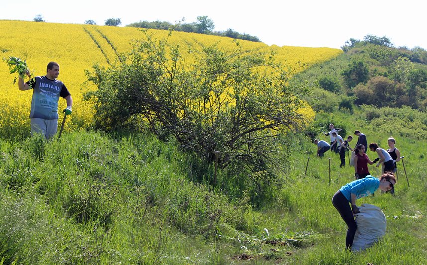 Studien zur Erhaltung der Natur