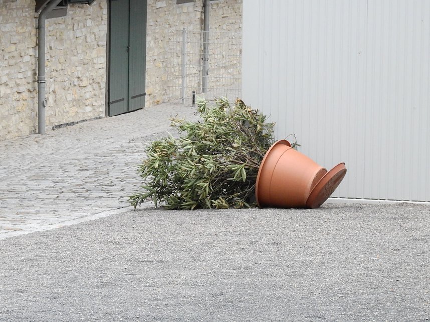 Ritterfest in Wei&szlig;ensee