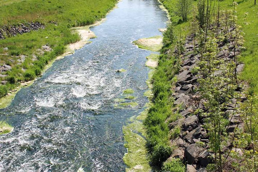 Probleme mit der Wipper?