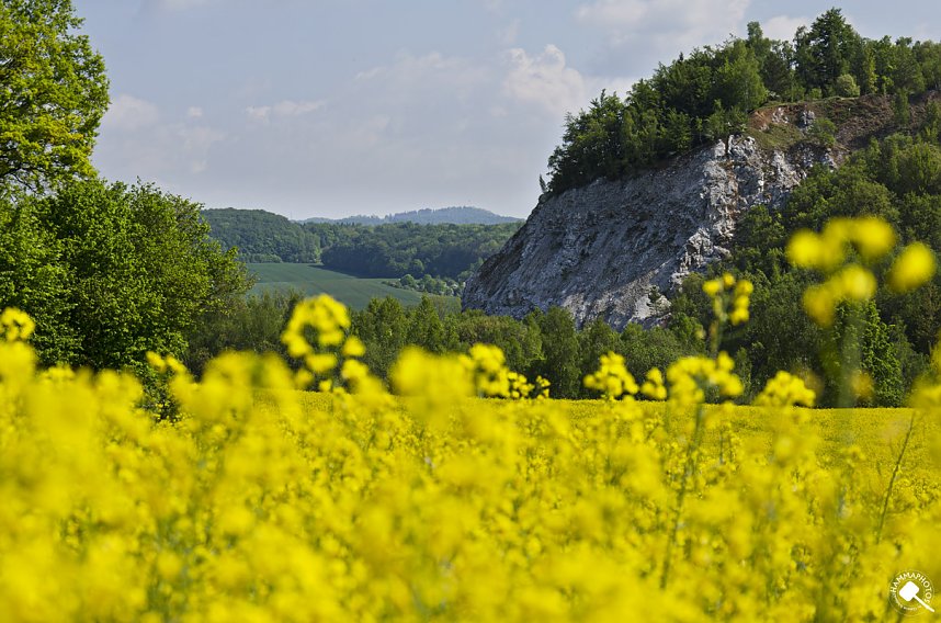 Wanderung im Morgengrauen