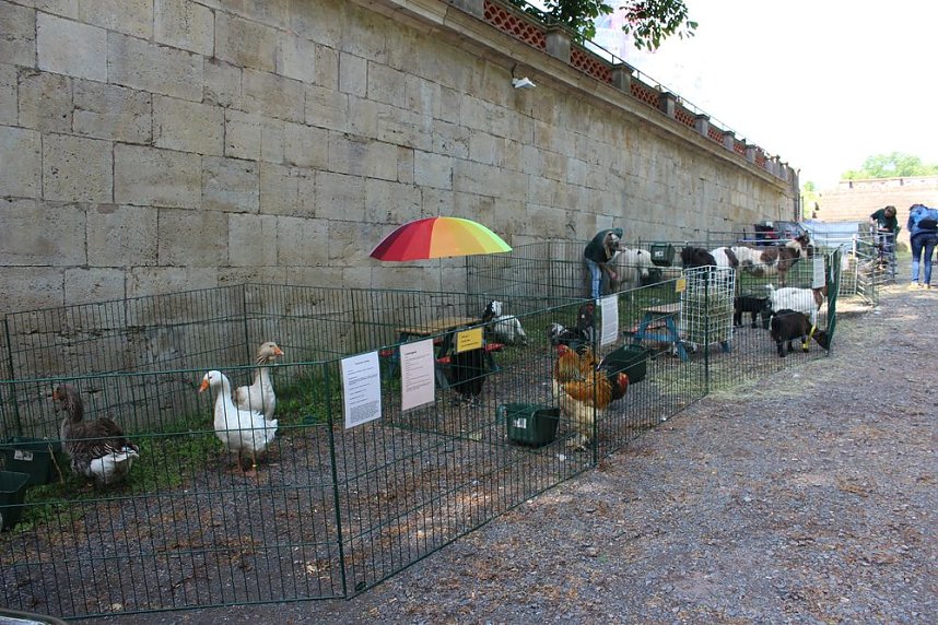 Guter Start in das Residenzfest