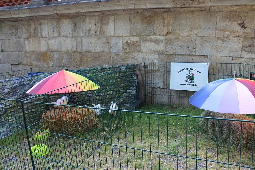 Guter Start in das Residenzfest