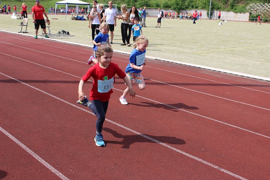 Mini-WM am G&ouml;ldner