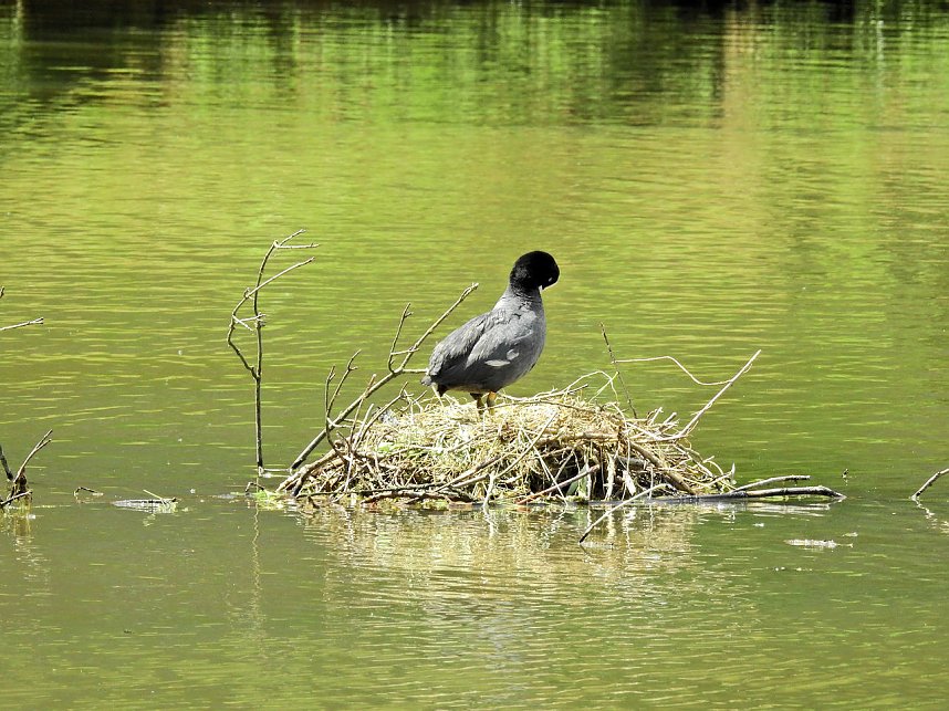 Abstecher in den Schlosspark