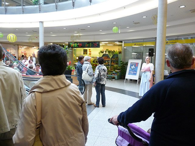 Vorstellung der Hauptdarsteller