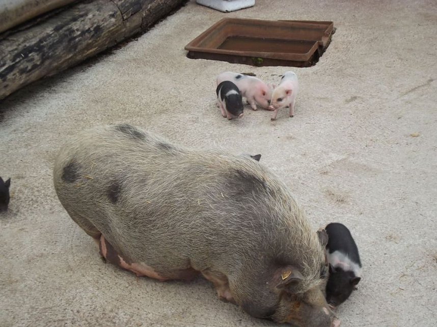 WB 4 auf dem Possen � eine Erlebniswelt