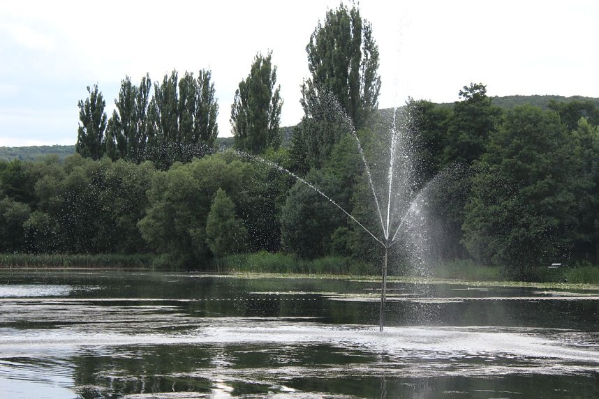 Grasmahd im Bebraer Teich