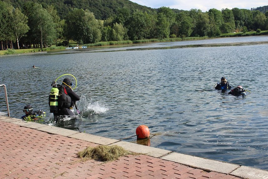 Grasmahd im Bebraer Teich