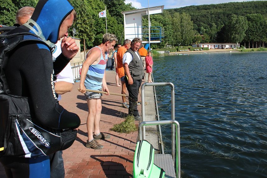 Grasmahd im Bebraer Teich