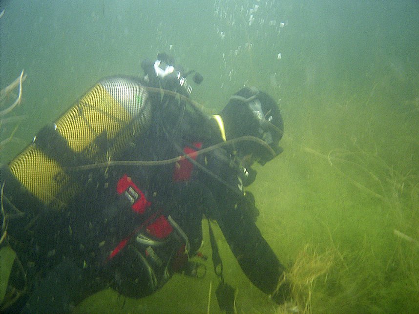 Bushaltestellen entfallen und Gras gerupft