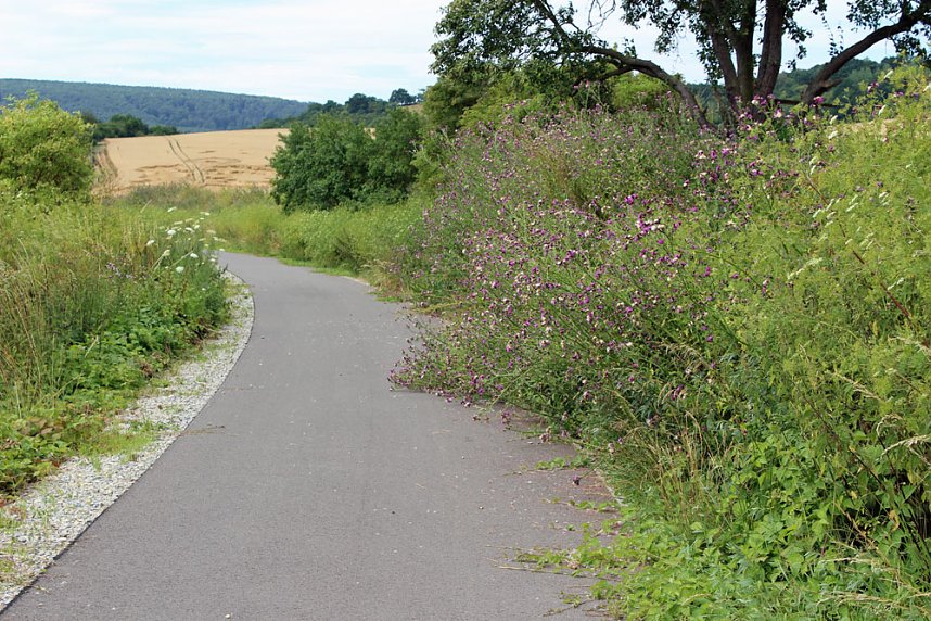 Da w&auml;chst etwas zu!