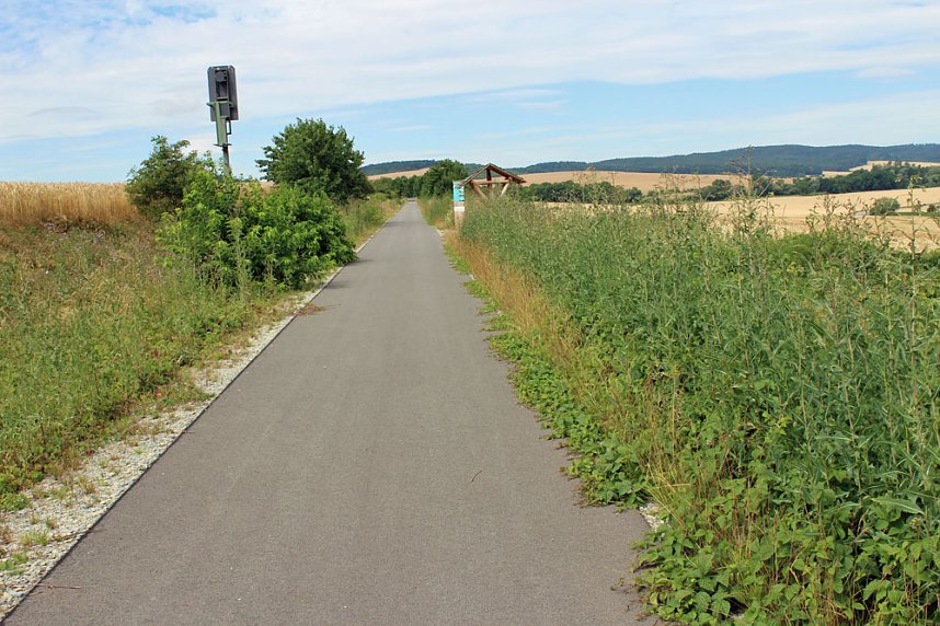 Da w&auml;chst etwas zu!