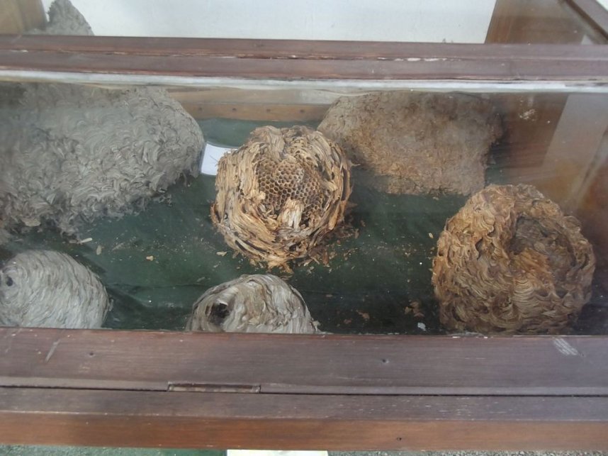 WB 4 besuchte Kleine Wartburg in Clingen