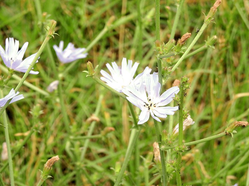 Peter Blei unterwegs - diesmal in der freien Natur und im Jugendwaldheim Rathsfeld