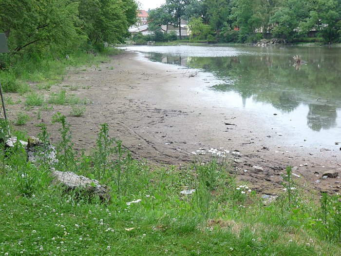 Parkteich Sondershausen