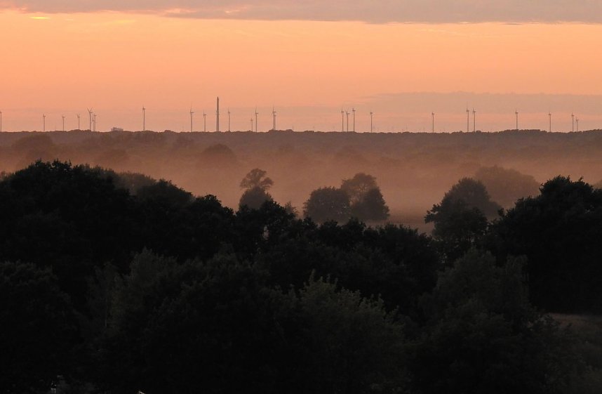 Spinnen im Mondschein am Goitzsche See