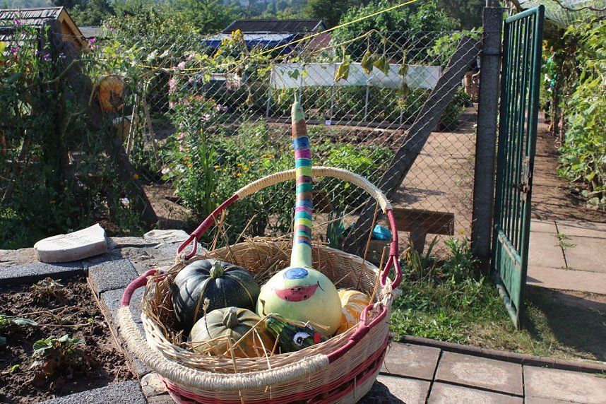 Offener Garten zum Mitmachen