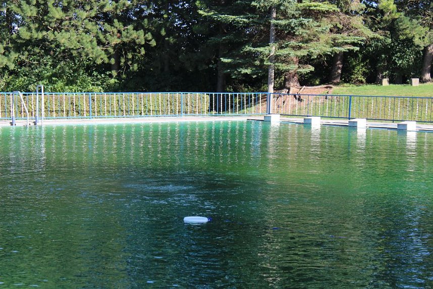 Taucher im Schwimmbad im Einsatz