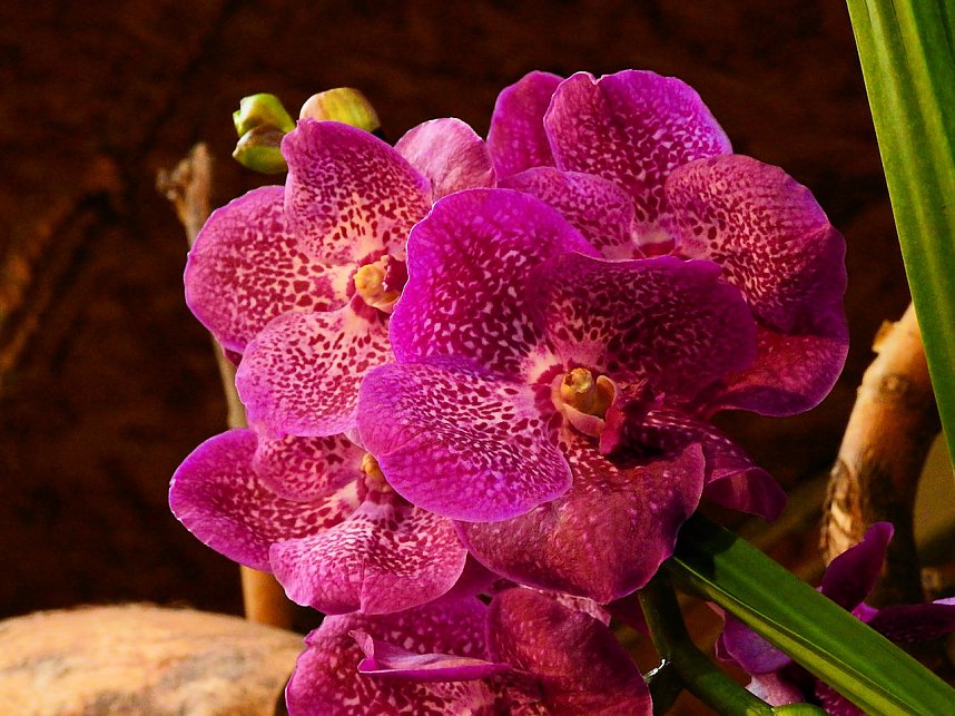 25 Jahre Keramikscheune Spickendorf