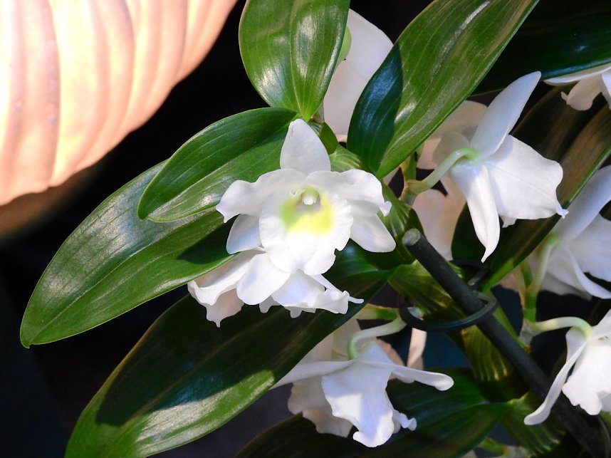 25 Jahre Keramikscheune Spickendorf