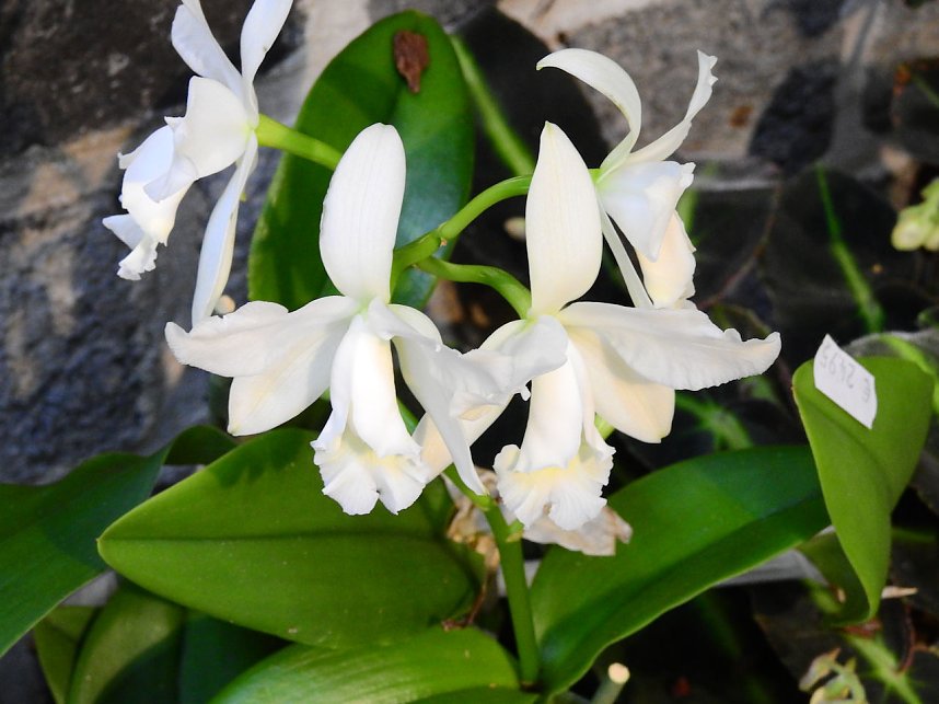 25 Jahre Keramikscheune Spickendorf