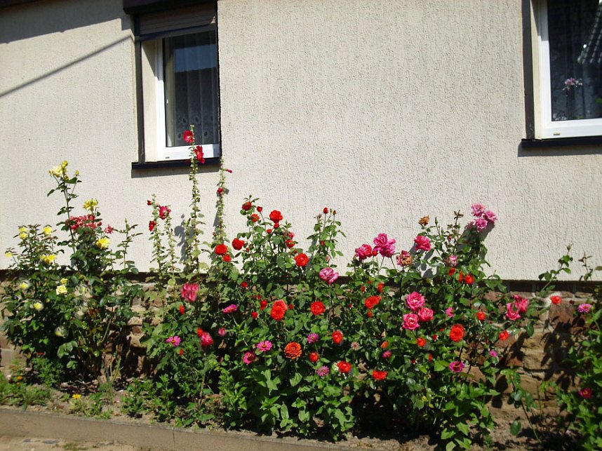 Gro&szlig;e Beteiligung am 22."Frankenh&auml;user Blumensommer" 2016