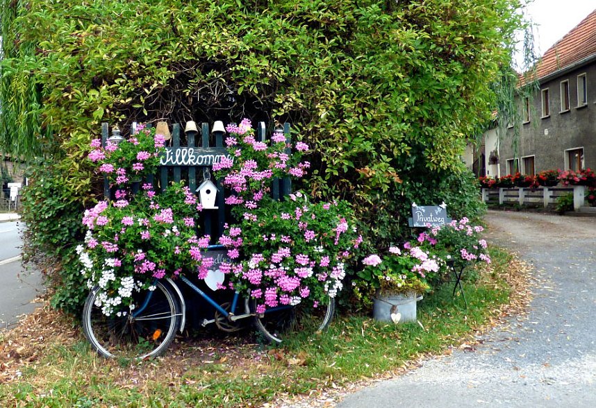 Gro&szlig;e Beteiligung am 22."Frankenh&auml;user Blumensommer" 2016