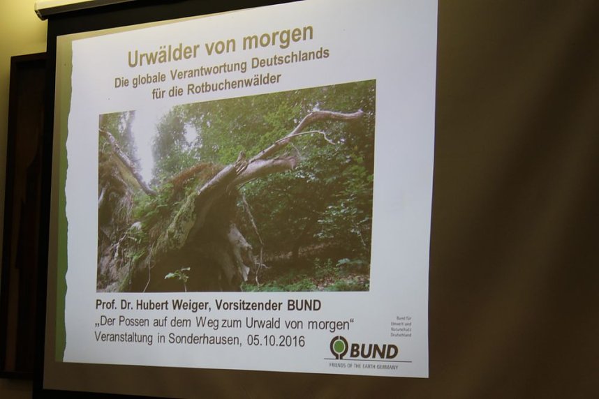 Pl&auml;doyer f&uuml;r den Possen als Urwald