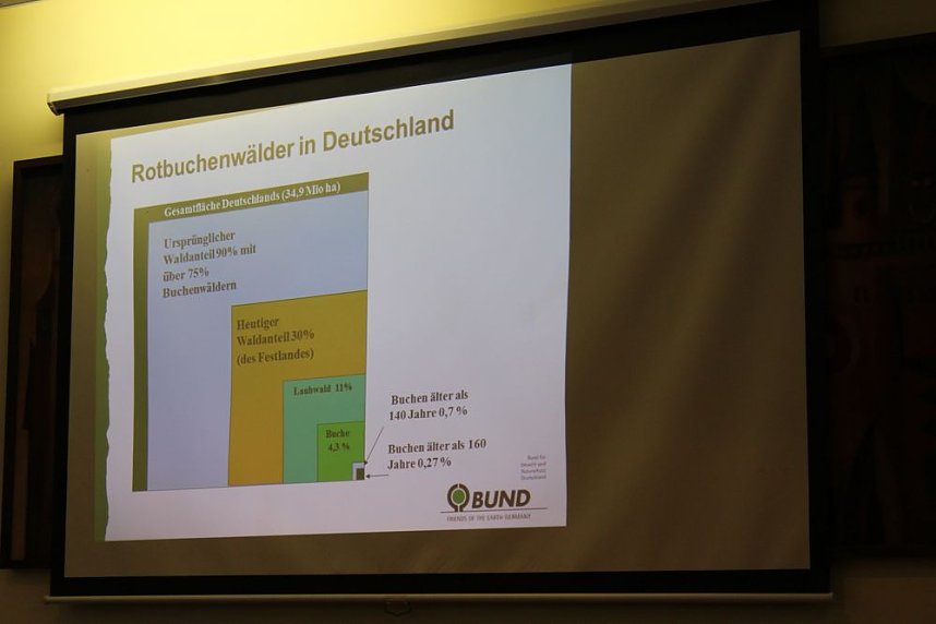 Pl&auml;doyer f&uuml;r den Possen als Urwald