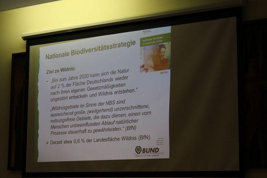 Pl&auml;doyer f&uuml;r den Possen als Urwald