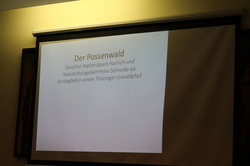 Pl&auml;doyer f&uuml;r den Possen als Urwald