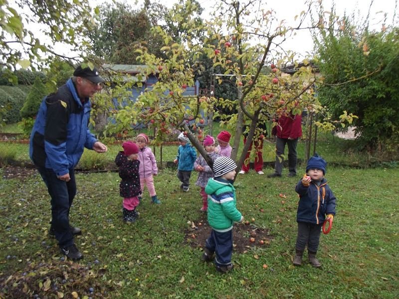 N&auml;chstes Jahr wird genascht