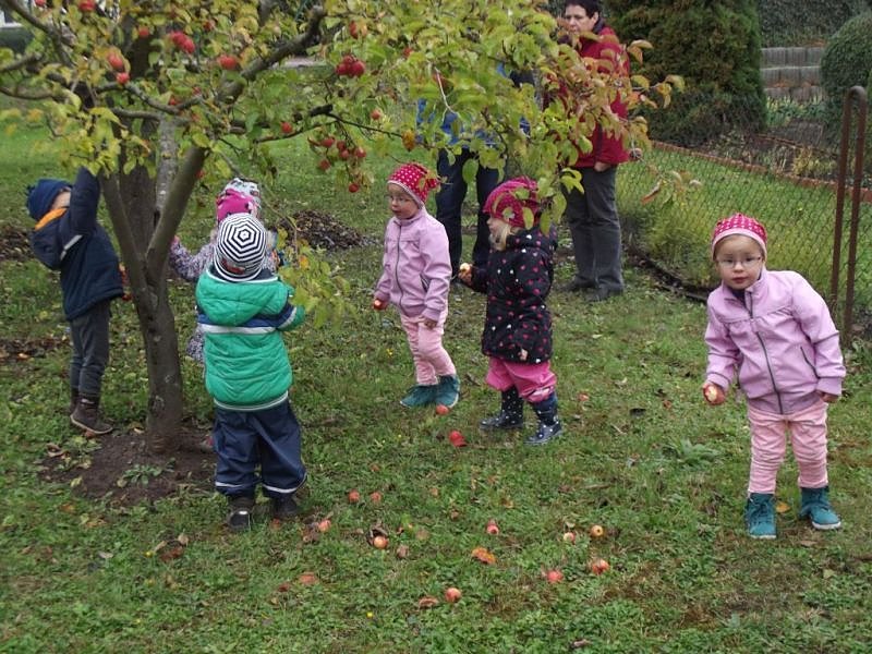 N&auml;chstes Jahr wird genascht