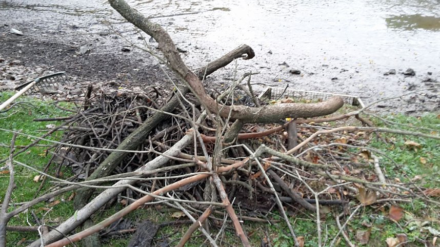 M&uuml;llabladeplatz Schlosspark?