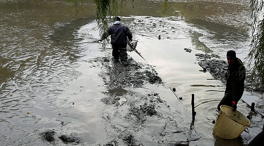 M&uuml;llabladeplatz Schlosspark?