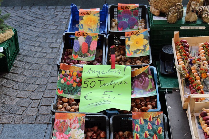 Aktionstag auf dem Markt von Sondershausen
