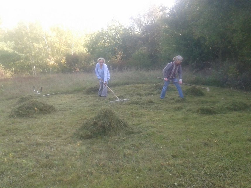 Mahd gegen den Gipsabbau