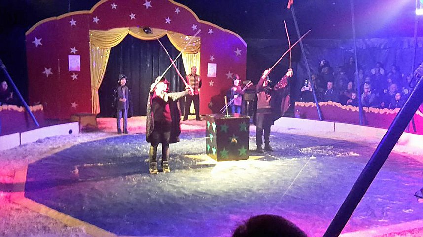 Sehr sehenswertes Zirkusprojekt