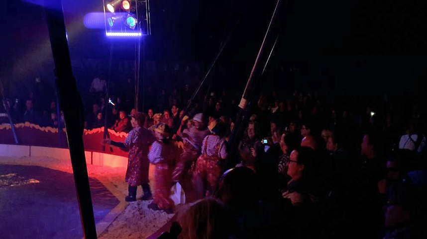 Sehr sehenswertes Zirkusprojekt