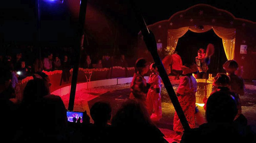 Sehr sehenswertes Zirkusprojekt