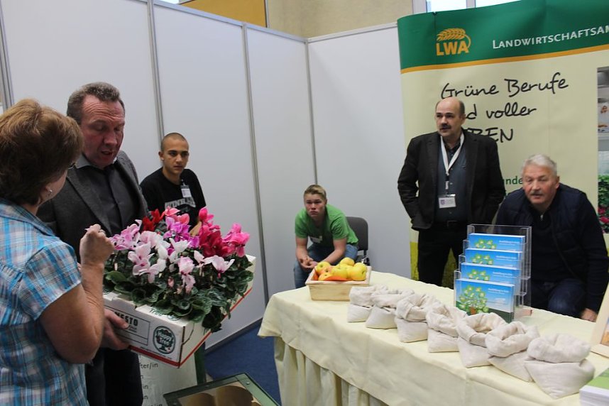 15. Berufsinfotage 2015 mit Jubil&auml;um