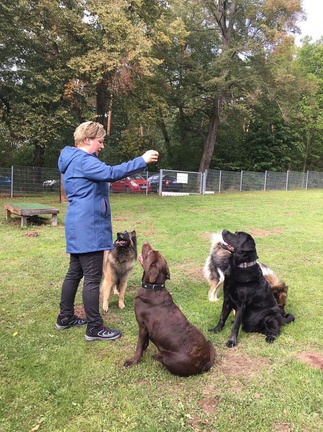 Herbstwanderung des Sondersh&auml;user Hundevereins