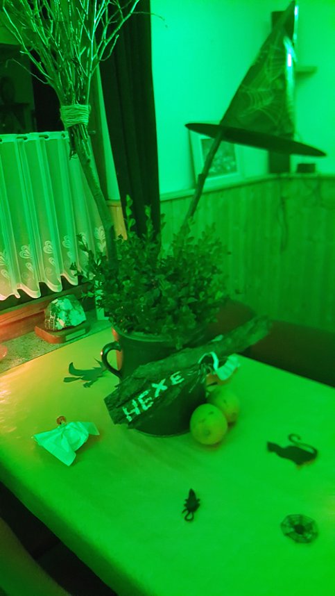 Halloween auf dem Hundeplatz