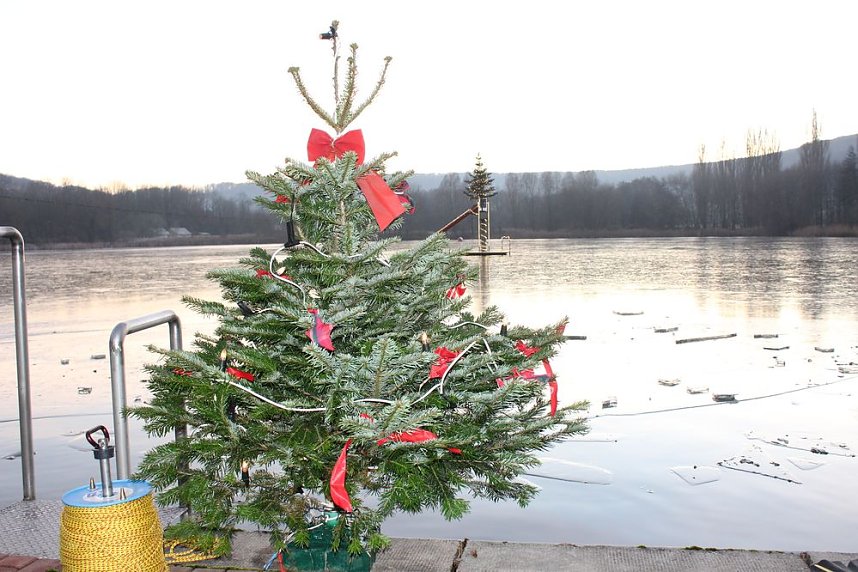 Massenansturm zum Weihnachtstauchen