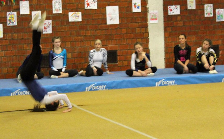 Landesmeister stellten sich vor