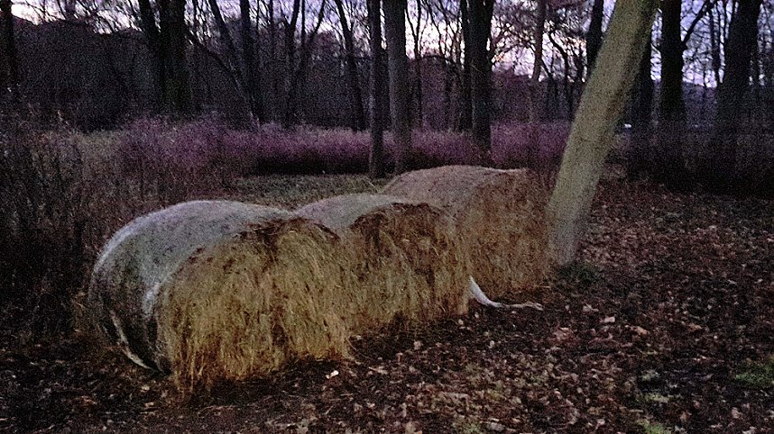 Wehe so handelt ein Privatmann