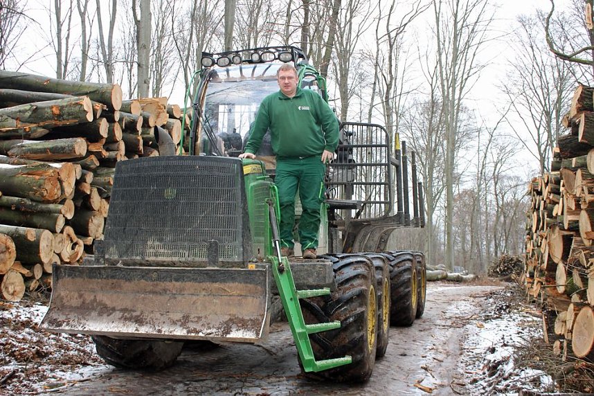 Holzernte in Seega