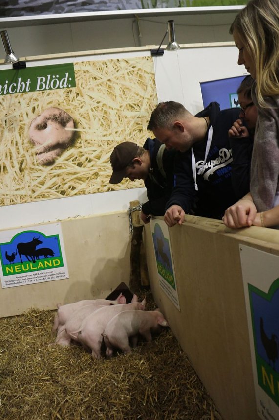 Gr&uuml;ne Woche 2017 in Berlin