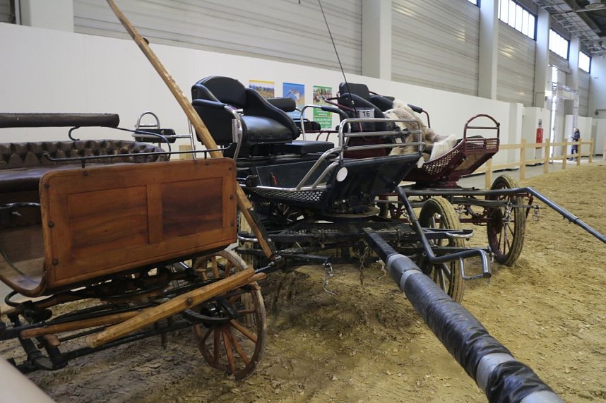 Gr&uuml;ne Woche 2017 in Berlin