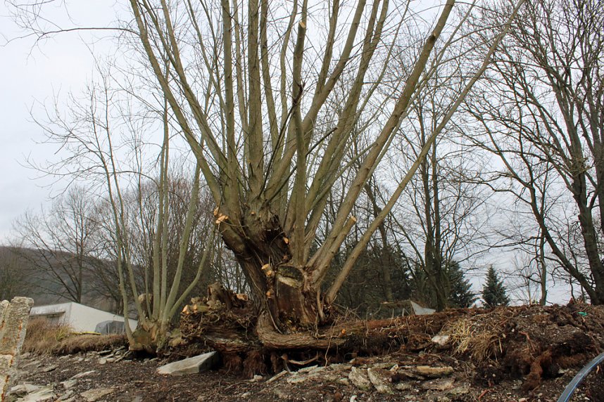 Am Bebraer Teich wird gebaut